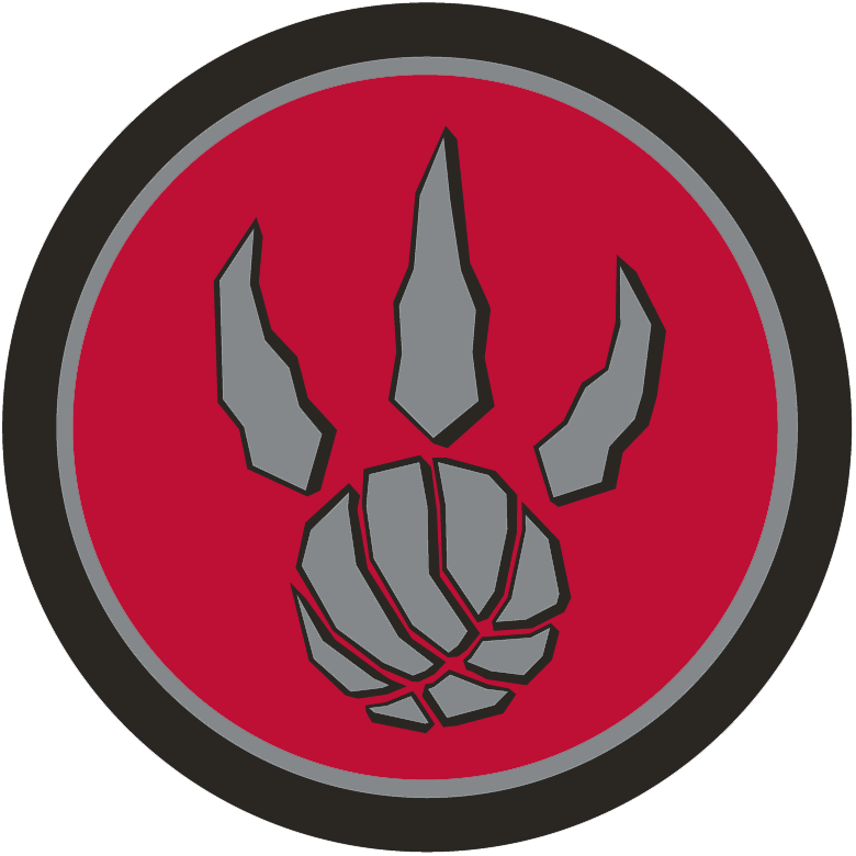 Toronto Raptors 2011-2015 Alternate Logo iron on transfers for clothing version 2